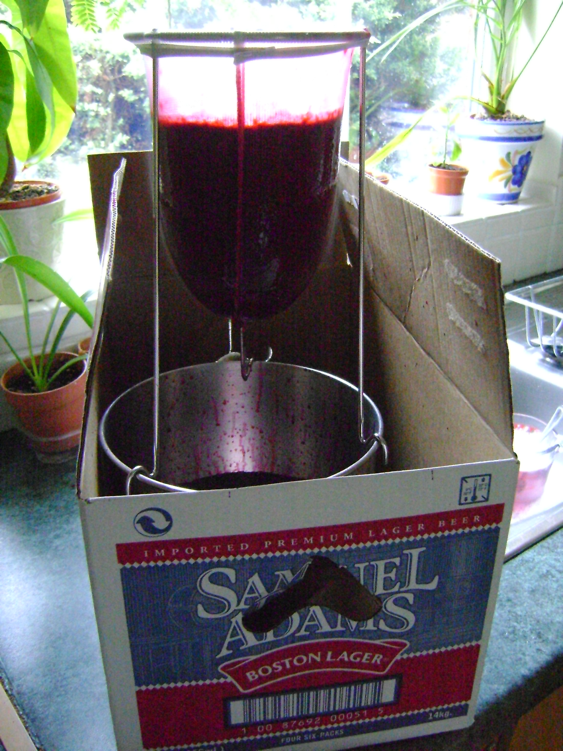Blackcurrant Jelly Made By Jayne