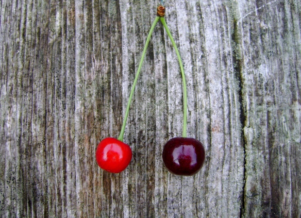 cherries madebyjayne.com